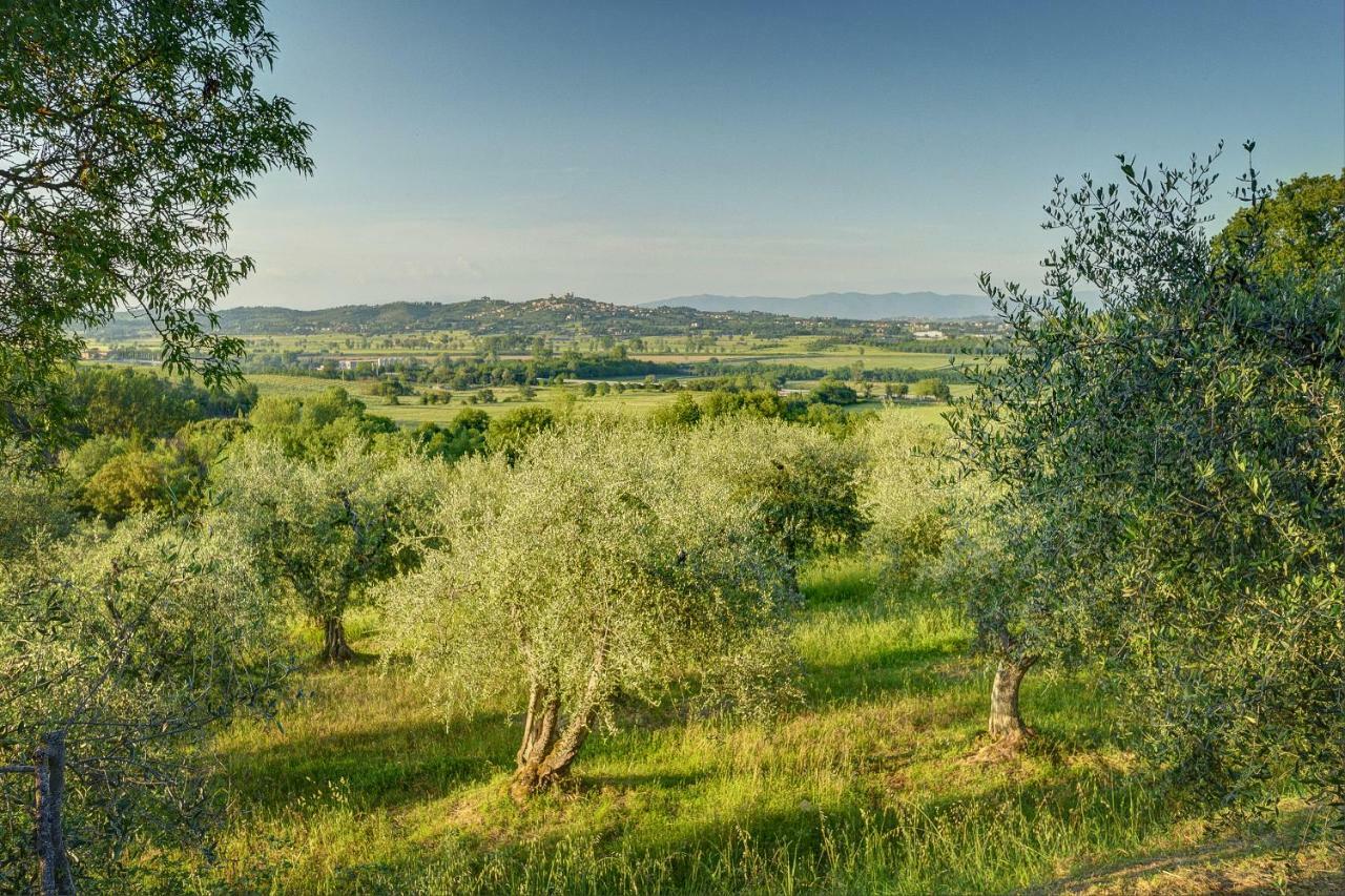 Tuscan Roots Villa La Croce Eksteriør bilde