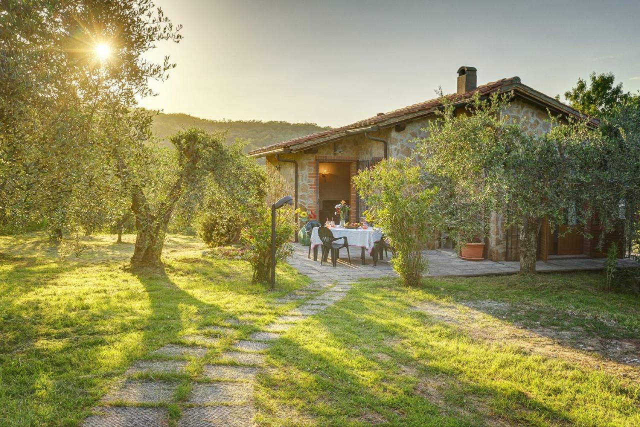 Tuscan Roots Villa La Croce Eksteriør bilde